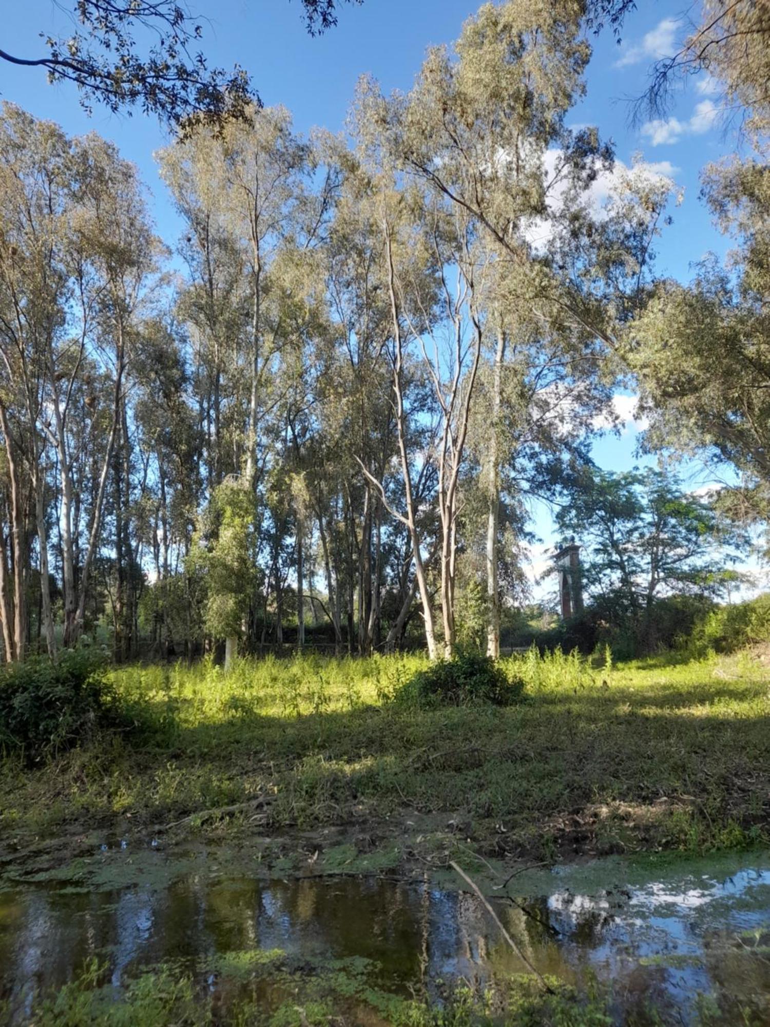 Navas del Madroño Hotel Rural El Vaqueril מראה חיצוני תמונה