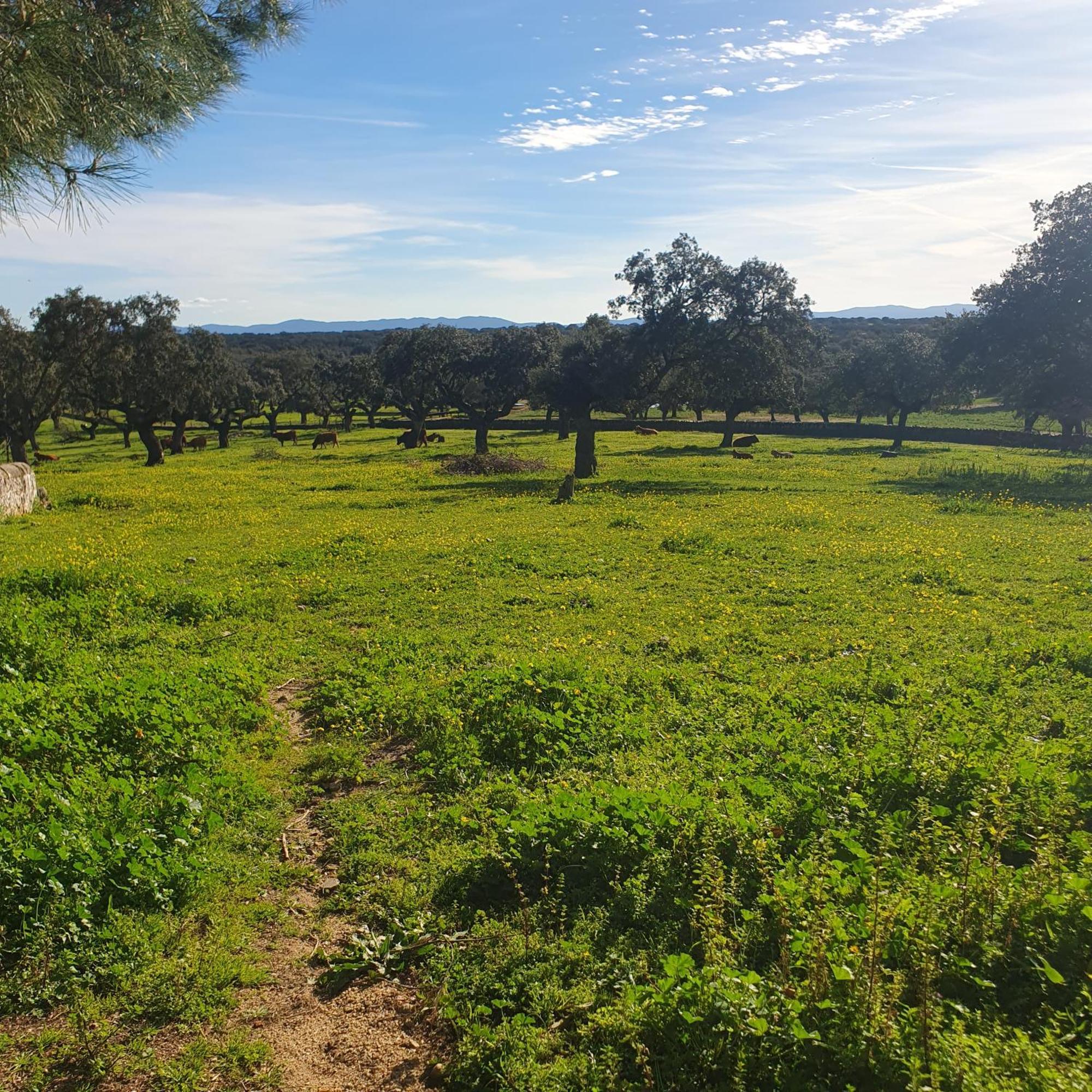 Navas del Madroño Hotel Rural El Vaqueril מראה חיצוני תמונה