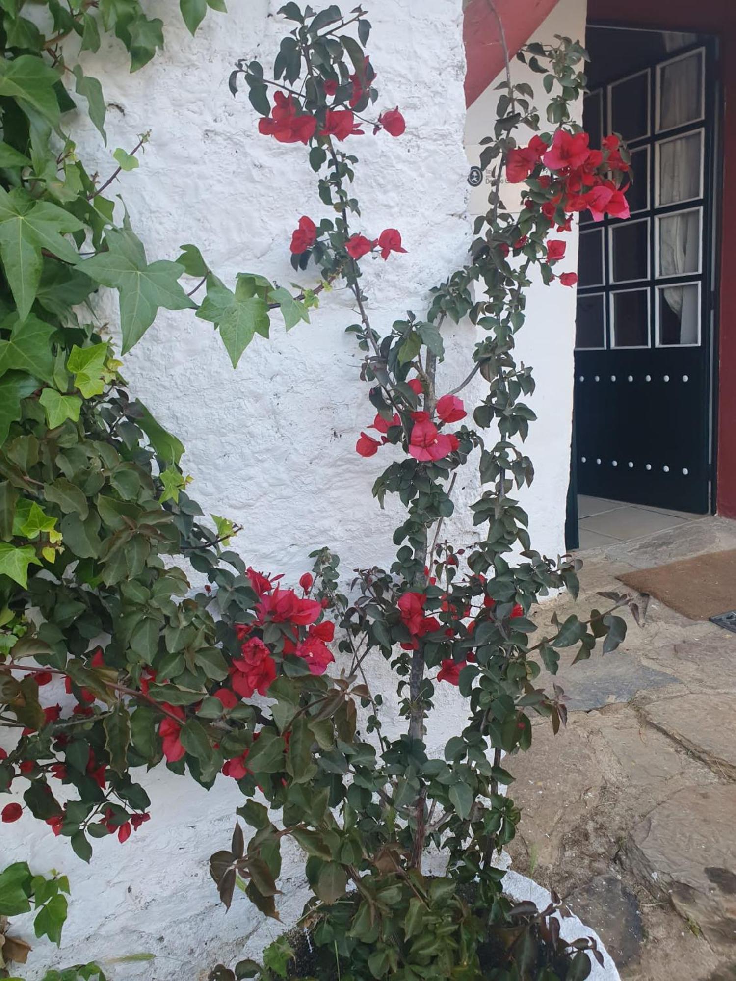 Navas del Madroño Hotel Rural El Vaqueril מראה חיצוני תמונה