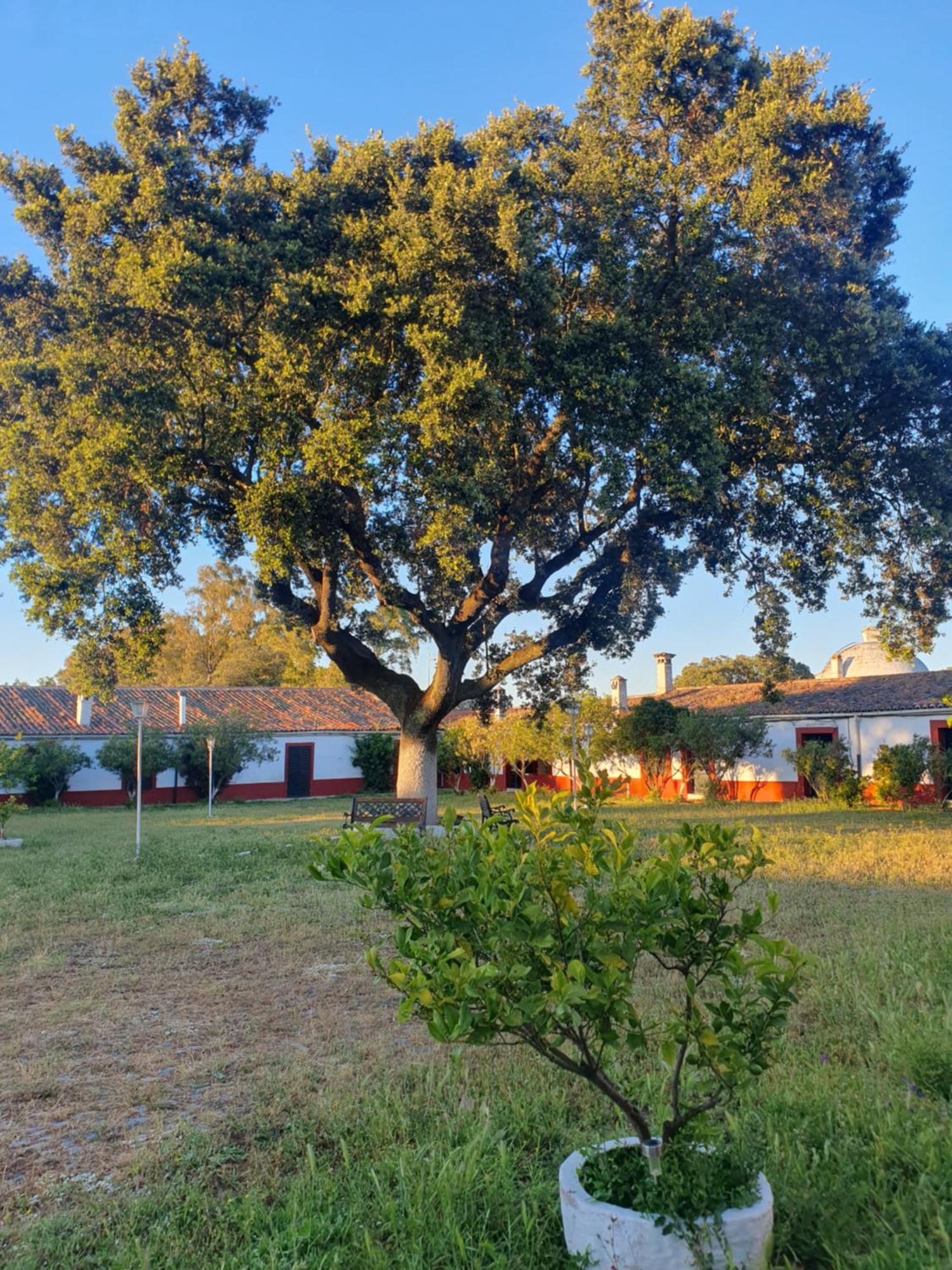 Navas del Madroño Hotel Rural El Vaqueril מראה חיצוני תמונה