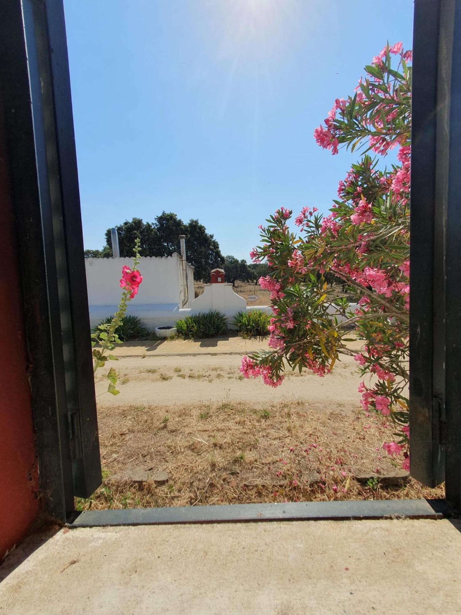 Navas del Madroño Hotel Rural El Vaqueril מראה חיצוני תמונה