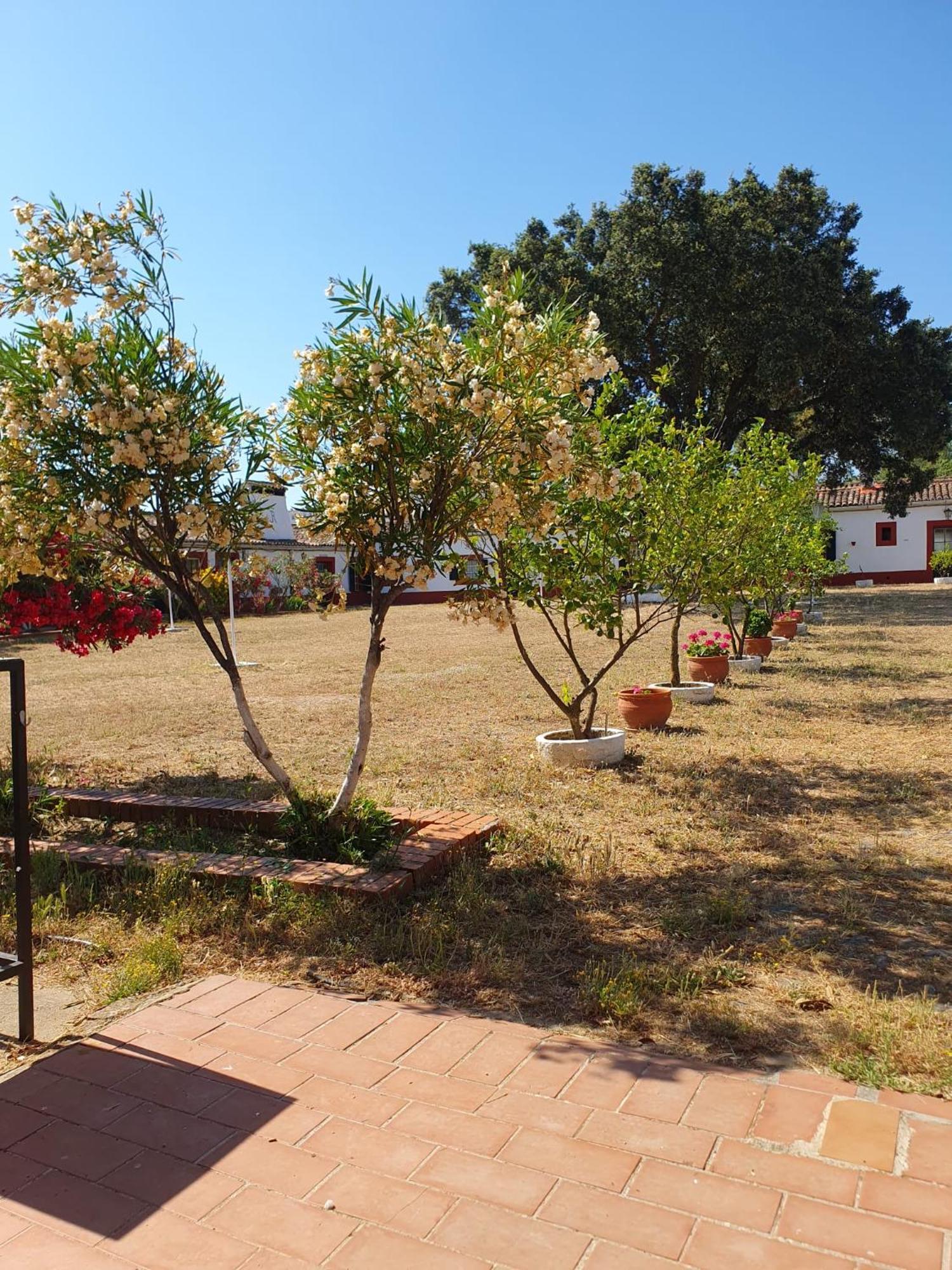 Navas del Madroño Hotel Rural El Vaqueril מראה חיצוני תמונה
