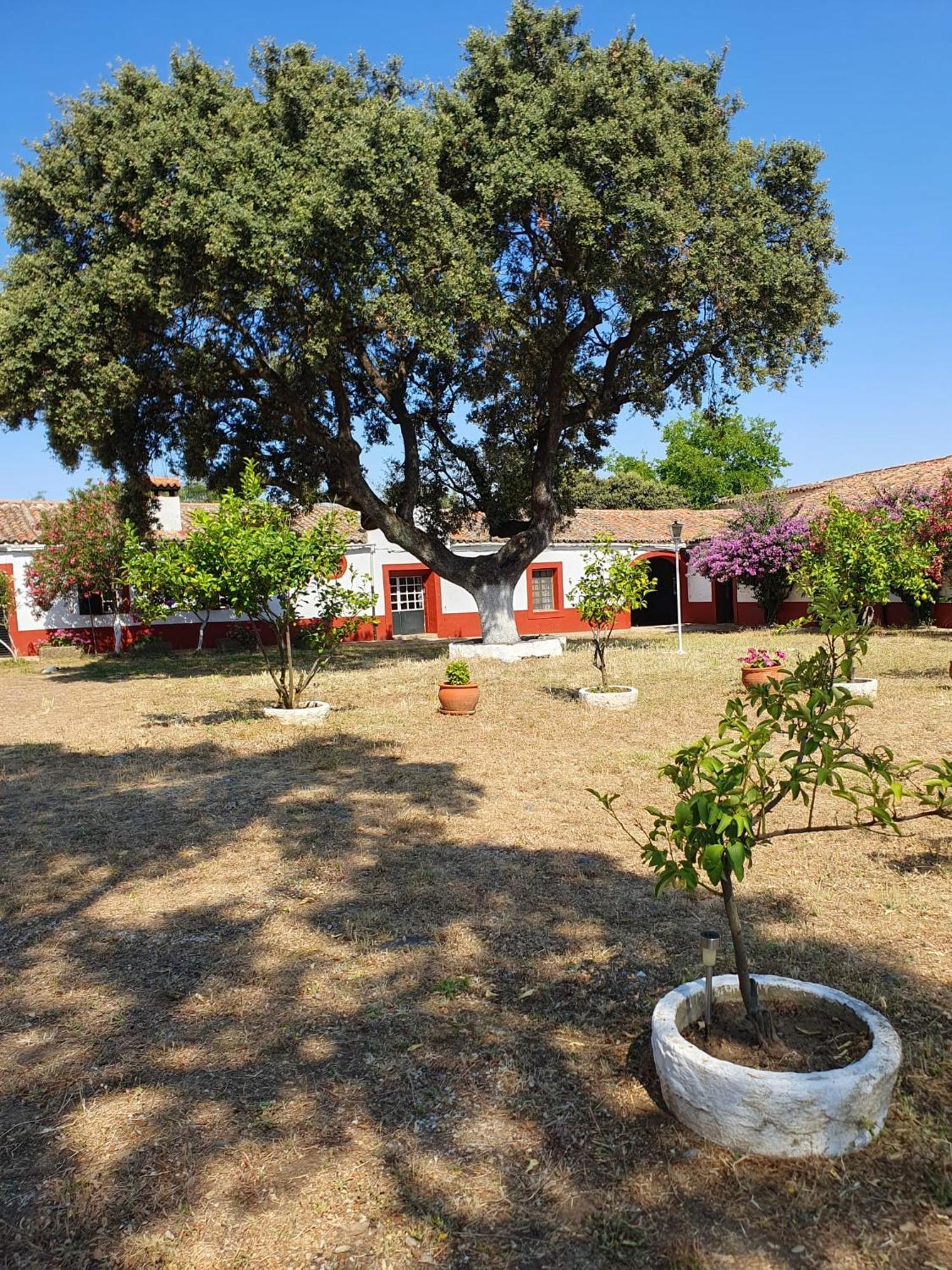 Navas del Madroño Hotel Rural El Vaqueril מראה חיצוני תמונה
